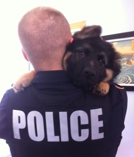 Officer Wilson entering police academy