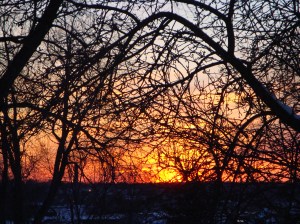 Photograph by Elaine Magliaro