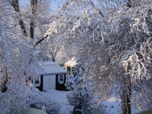 Photograph by Elaine Magliaro