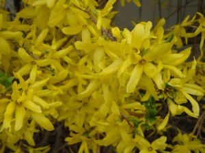 March-April 2010 121