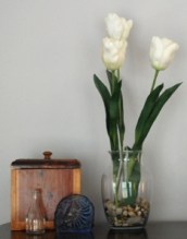 Vase of Tulips with box