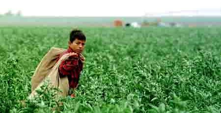 CHILDREN FOR HIRE TEXAS