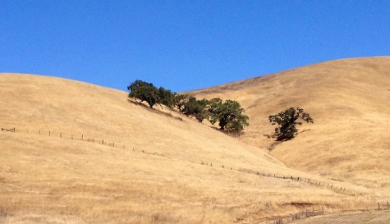 California dry hills