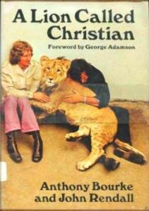 Lion called Christian