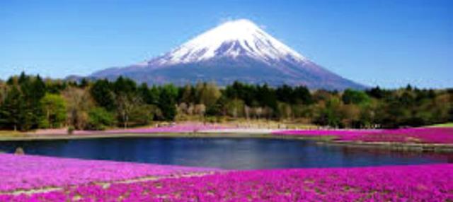 Mount Fuji spring