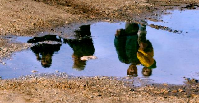 Syrian-refugees reflected