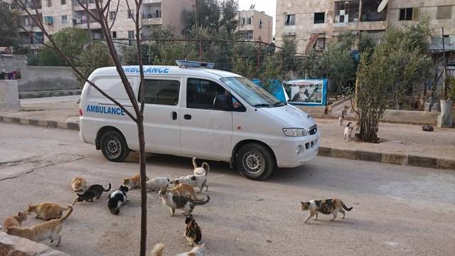 12932569_1581798608804434_1648577857641400811_n