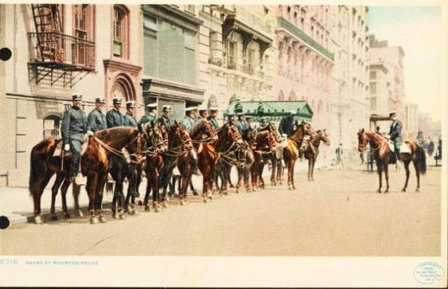1905 mounted police postcard