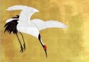 japanese_crane_flying