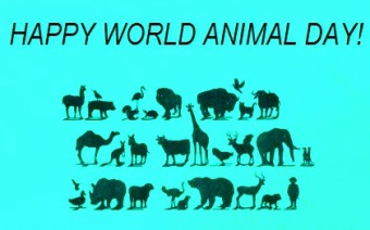happy-world-animal-day