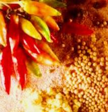 cook-bold-and-pungent-day