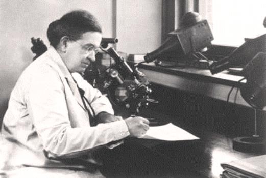 florence-r-sabin-in-her-rockefeller-institute-lab-1956