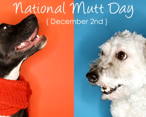 national-mutt-day