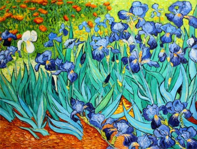 van_gogh_irises_dafenonline
