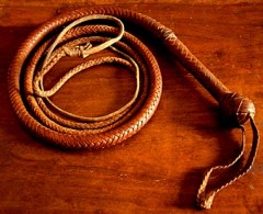 bullwhip