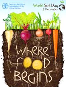 world-soil-day-2016