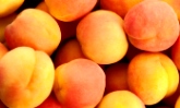 apricots