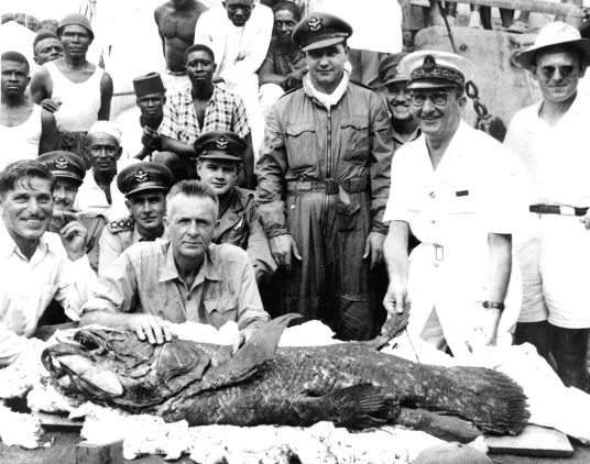 COELACANTH SCIENTIFIC STUDY