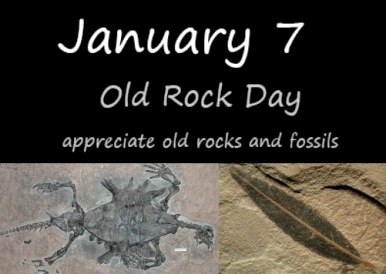 old-rock-day-fossils