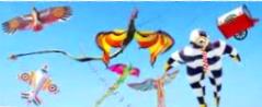 kites-flying