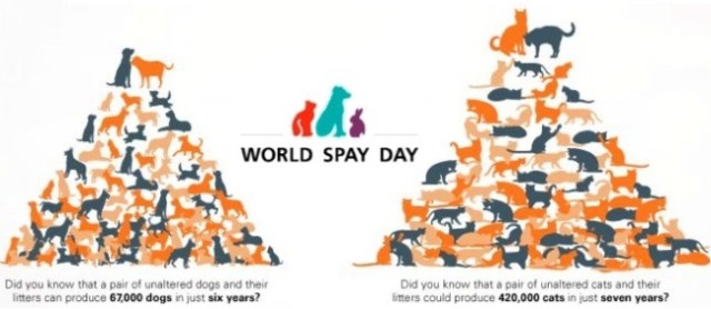 payneuter-day-_pyramids-graphic