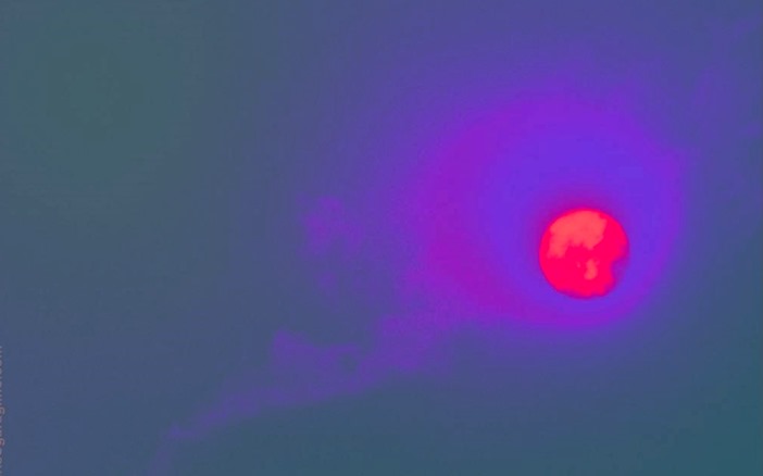 Why Doesn’t the Sun Bleed | Flowers For Socrates